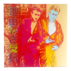 Andy Warhol Estate Vintage 1990 Collector's Pop Art Lithograph Print " Rebel Without a Cause - James Dean " 1985