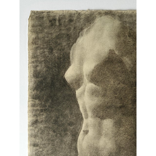 An early 20th century academic study of a classical Greek female torso, executed in charcoal on cream wove paper. Signed...