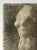 An early 20th century academic study of a classical Greek female torso, executed in charcoal on cream wove paper. Signed...