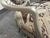 Century Furniture Oval Back Armchairs, Pair. For Sale - Image 10 of 12