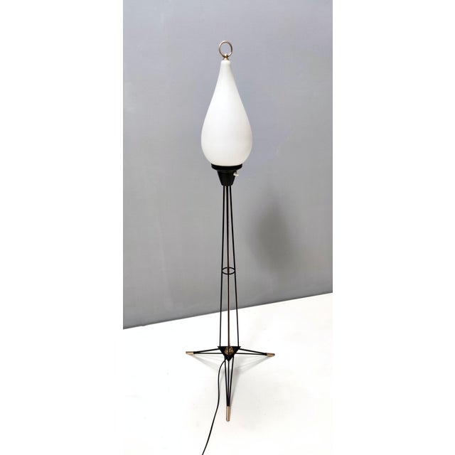 White Opaline Glass and Black Iron Floor Lamp from Stilnovo, Italy, 1950s For Sale - Image 13 of 13
