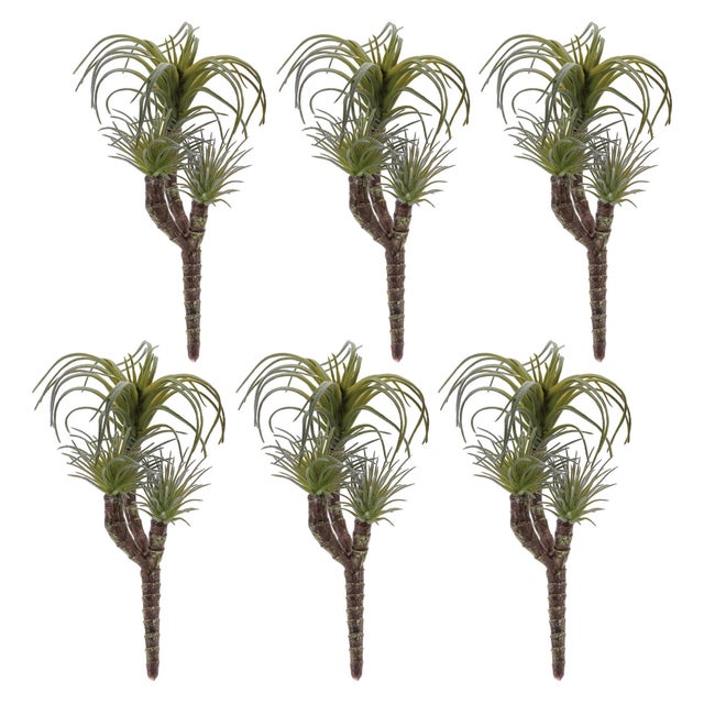 Bring a contemporary and stylish touch to your home decor with these Air Plant Succulent Picks. Featuring natural green...