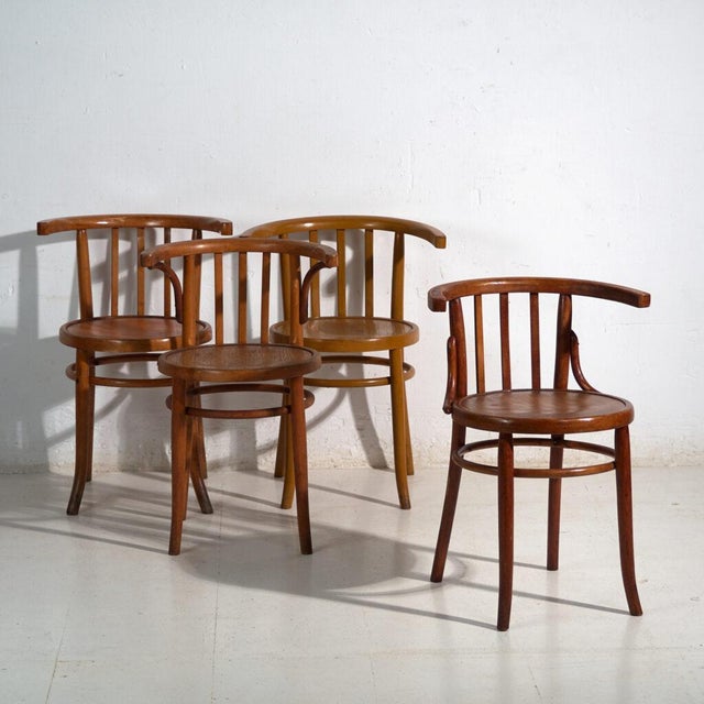 Mundus Bentwood Chairs, 1920, Set of 4 For Sale - Image 14 of 14