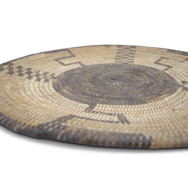 Textile Pima or Papago O'Odham Native American Coiled Round 11 3/4" Basket Tray For Sale - Image 7 of 7