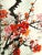 Hand-pulled Chinese silk serigraph of spring plum blossoms with title and seal upper right. Displayed on a white mat with...