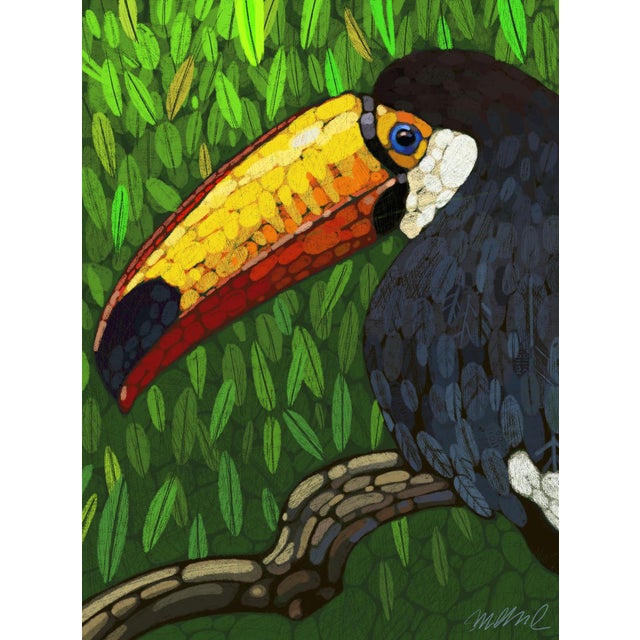 Toucan Dots Giclee Print 11x15