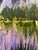 2020s Reflections on Water by Kathleen Varadi, Contemporary Abstract Painting For Sale - Image 5 of 8