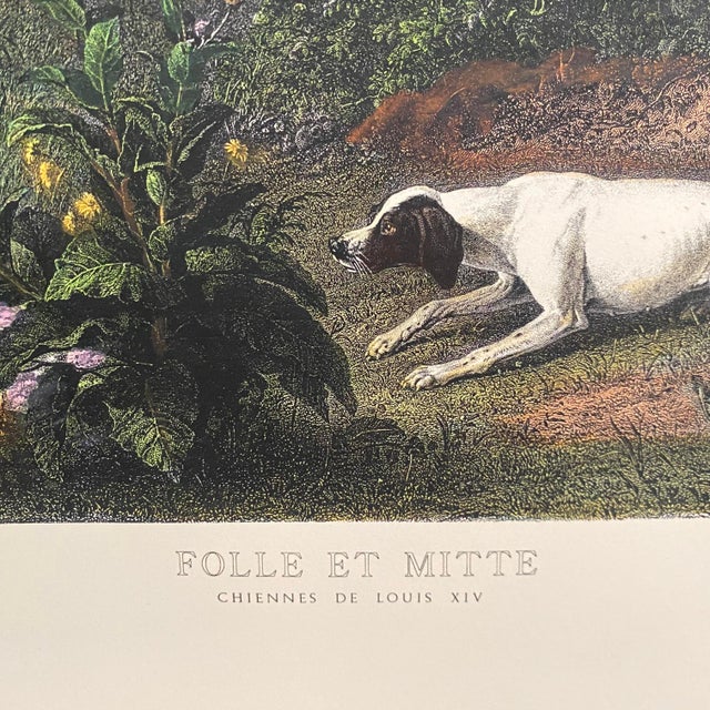 French Country Hunting Dogs of Louis XIV "Folle Et Mitte" Chines De Louis XIV Reproduction Print For Sale - Image 3 of 7