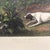 French Country Hunting Dogs of Louis XIV "Folle Et Mitte" Chines De Louis XIV Reproduction Print For Sale - Image 3 of 7