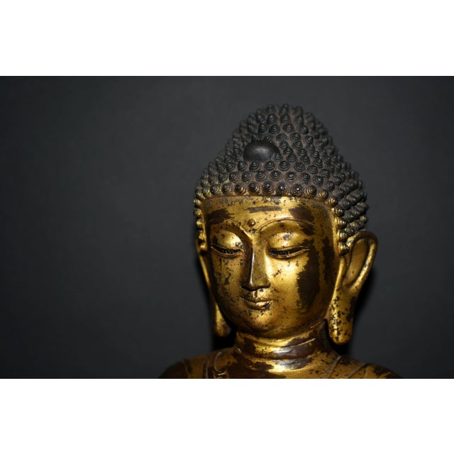 Huge Gilt Bronze Buddha Shakyamuni Statue Buddha 31 Lb For Sale - Image 13 of 17