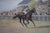 1920s The Duke of Cambridge Handicap 1921 Watercolour by Isaac J. Cullin (1881-1947) For Sale - Image 5 of 6