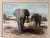 1970s 1970s Signed Limited Edition “Elephants at Kilimanjaro” by Artist Charles Francé Framed For Sale - Image 5 of 9