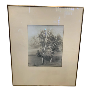 1910 “Two Birches" Platinum Print