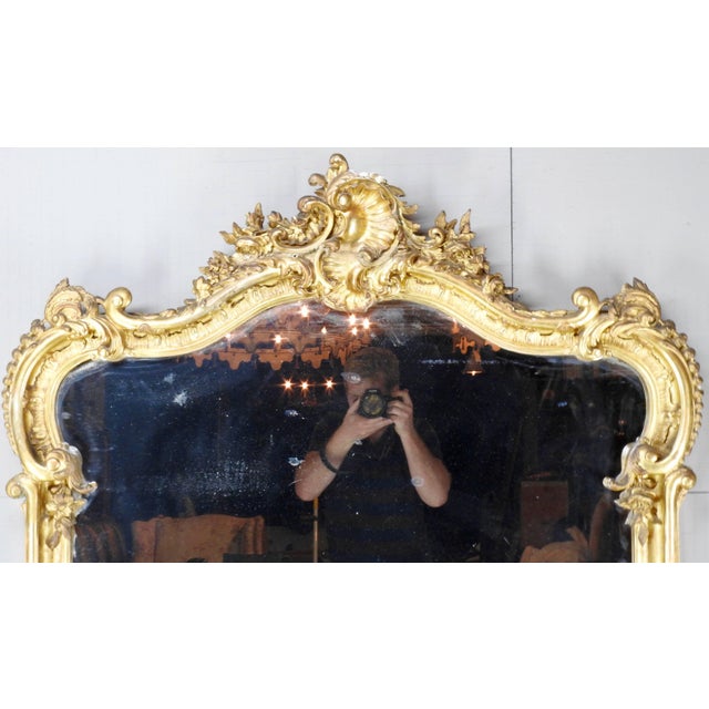 This beautiful 19th century French Rococo mirror is a show stopper. With the bold gilt over all the beautiful carvings...