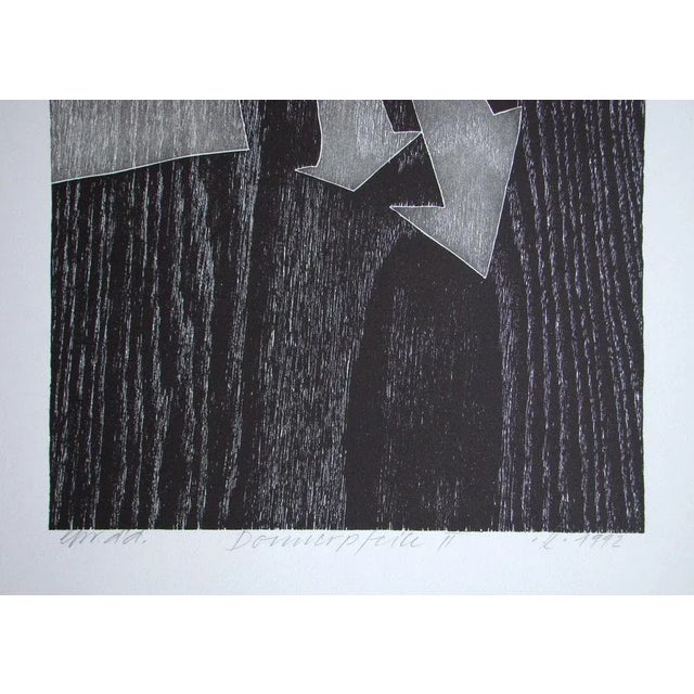 Franz Eggenschwiler, Donnerpfeile II, 1992, Original Woodcut For Sale - Image 7 of 17