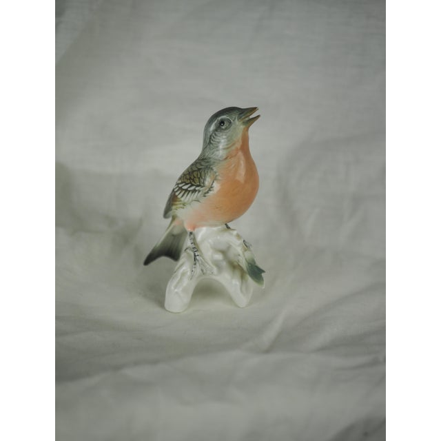 Mid-Century German Karl Ens Common Redstart Porcelain. Cute and classy, ​​this original object will enhance natural and...