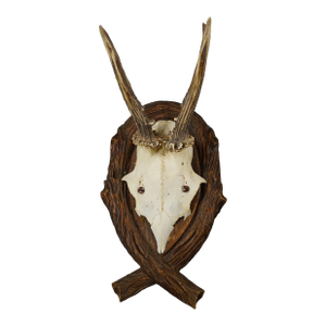 Antique Deer Trophy on Carved Plaque, Germany 1942