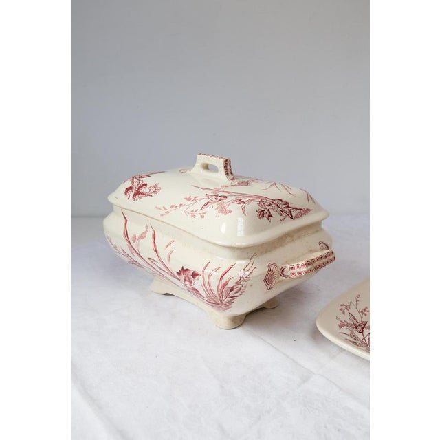 Antique English Tureen with Plate Francis & Co Primrose C., 1860 For Sale - Image 4 of 13