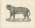 Majestic Striped or Royal Tiger, 1836, Lithograph For Sale - Image 6 of 10