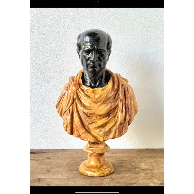 Late 20th Century Vintage Grand Tour Plaster Bust of Man For Sale - Image 5 of 12