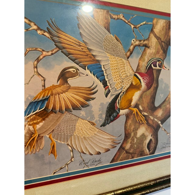 1980s 1980s Signed Jim Oliver Print of 2 Wood Ducks in Gorgeous Gold Bamboo Frame For Sale - Image 5 of 11