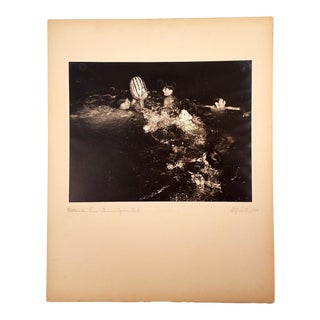 1940 Fritz Roetter "Watermelon Race - Armour Square Park" Photo For Sale