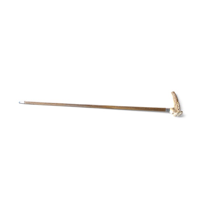 Reindeer Carved Stag Deer Antler Handle Antique Walking Stick Cane For Sale - Image 12 of 13