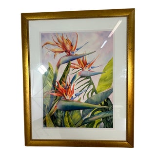 Bird of Paradise Watercolor, Framed For Sale