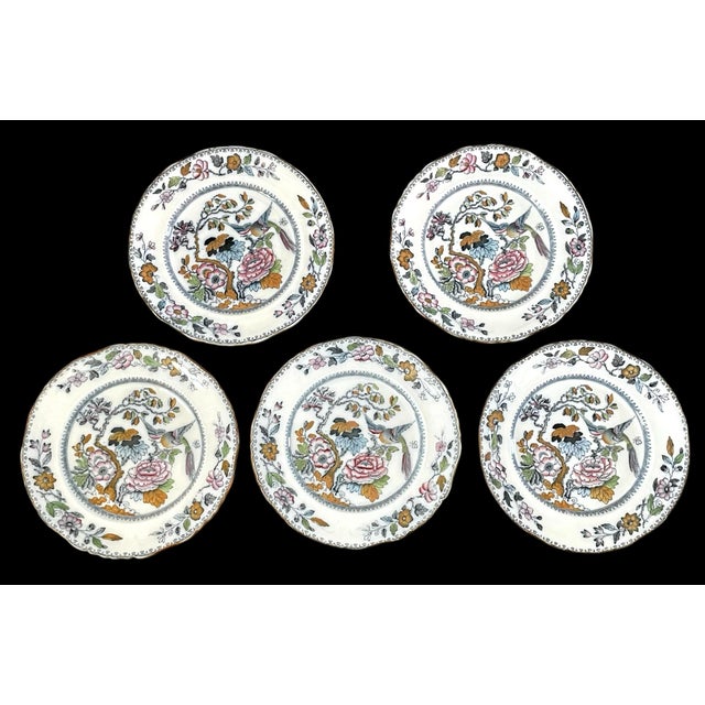 Chinoiserie 5 Gl Ashworth Mason's Ironstone Chinoiserie Dinner Plates. 10 3/8" 1900. For Sale - Image 3 of 5