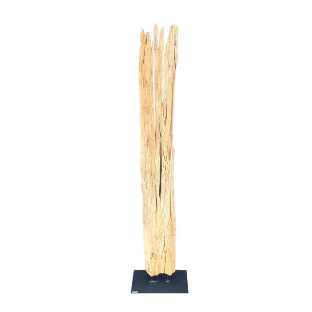 Contemporary Antique Driftwood On Metal Stand For Sale - Image 3 of 5