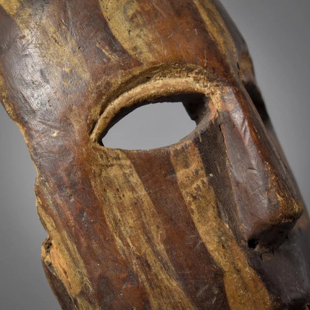 Early 20th Century Kongo Ndunga Mask on Custom Stand For Sale - Image 11 of 12