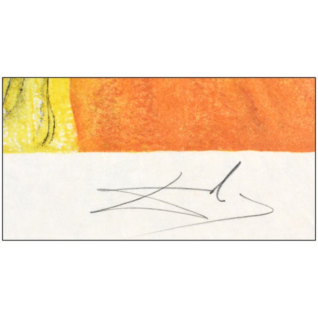 1960s 1968 Allegory the Chevaliers Dream of Cecile Surreal Orange Lithograph Salvador Dalí For Sale - Image 5 of 7