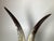 Plastic Natural Steer Horns on Lucite Bases - A Pair For Sale - Image 7 of 8