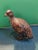 Brown Vintage Austrian Bronze Game Bird Partridge Figurine For Sale - Image 8 of 9