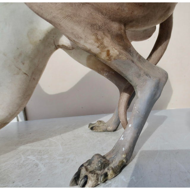 Beige Life Size Antique French Porcelain Grey Hound 1867 ( 159 Years Old) For Sale - Image 8 of 16