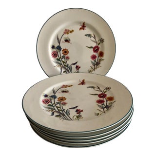 Vintage Jardin by Andrea " Sedek" Pattern Porcelain Dinner Plates S/6 For Sale