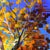 Strength and Beauty by Michelle Condrat | Oil on board Tree with vibrant autumn leaves against blue sky For Sale - Image 4 of 5