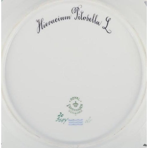 Flora Danica Openwork Lunch Plate in Porcelain from Royal Copenhagen, 1958 For Sale - Image 6 of 8