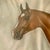 Vintage Realist Original Oil on Paper Painting “Captain Flash” Signed For Sale - Image 11 of 13