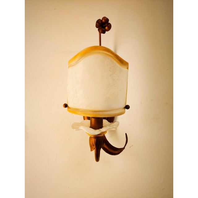 Wrought Iron Wall Light with Glass Fan For Sale - Image 14 of 16