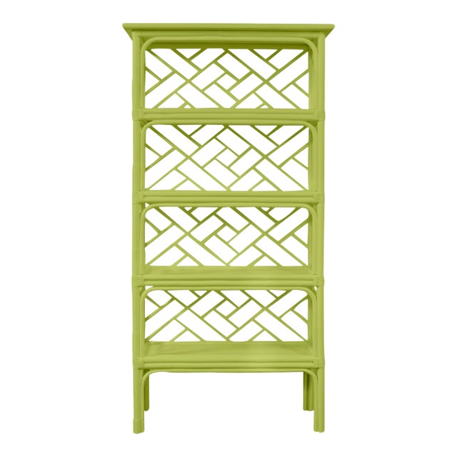 David Francis Furniture for Chairish Chippendale Etagere, Parakeet For Sale