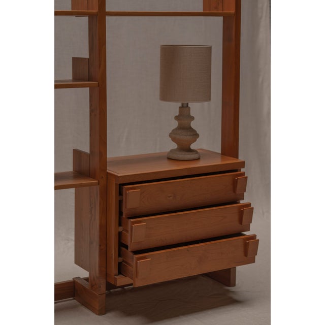 Wood French Minimalist Wall Unit in Elm from Maison Regain, 1970s For Sale - Image 7 of 16