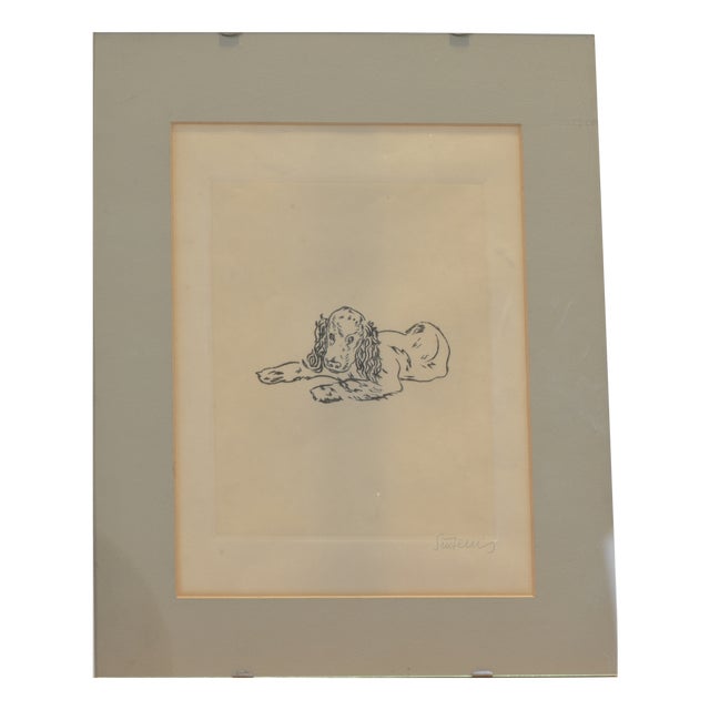 Cocker Spaniel, Etching by Renee Sintenis, 1950s For Sale