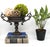 Stunning, early 20th century heavy metal trophy urn bowl, believed to be brass. Featuring a shallow basin, ornate Gothic...