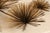 Curtis Jeré Mid Century Modern Urchin Wall Sculpture For Sale - Image 10 of 18