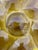 Ceramic 1950s French Gien Majolica Olive Green Oyster Plate For Sale - Image 7 of 13