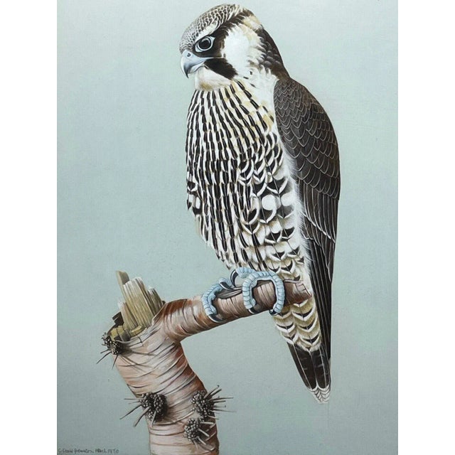 1 Charming Traditional Vintage original British Fine Art Watercolor Painting "Peregrine Falcon Study Signed David...