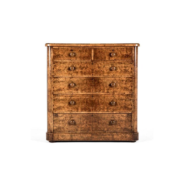 Victorian Burr Walnut Chest of Drawers For Sale - Image 13 of 13