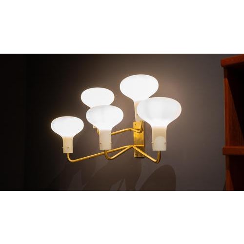 Mid-Century LP12 Wall Lights attributed to Ignazio Gardella for Azuzena, 1960s, Set of 2 For Sale - Image 12 of 18