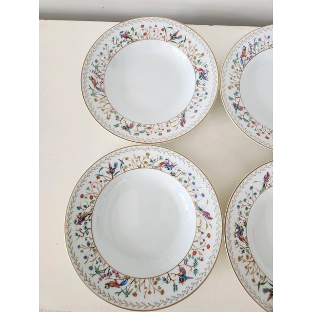 Chinoiserie 1990s Tiffany & Co. Audubon Rimmed Soup Bowls- Set of 6 For Sale - Image 3 of 6